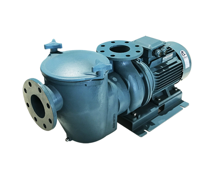 Emaux SE series commercial cast lron pump for fresh water commercial pools