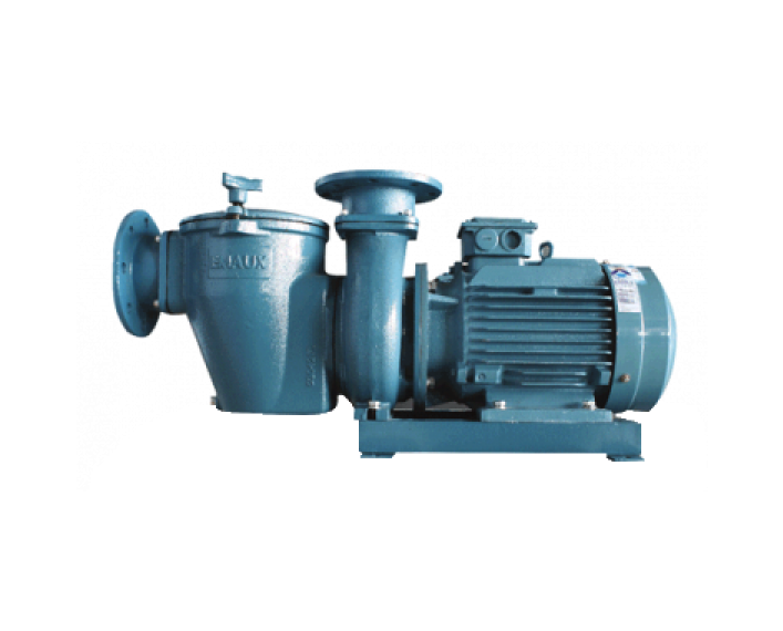 SE series commercial iron pump For Freshwater Commercial Pools