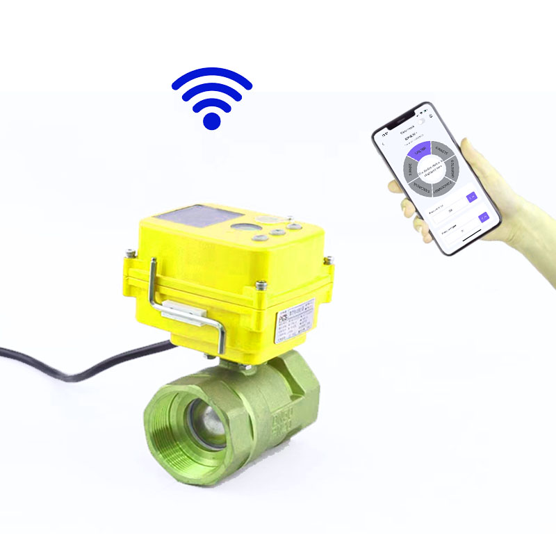 WiFi Electric Valve