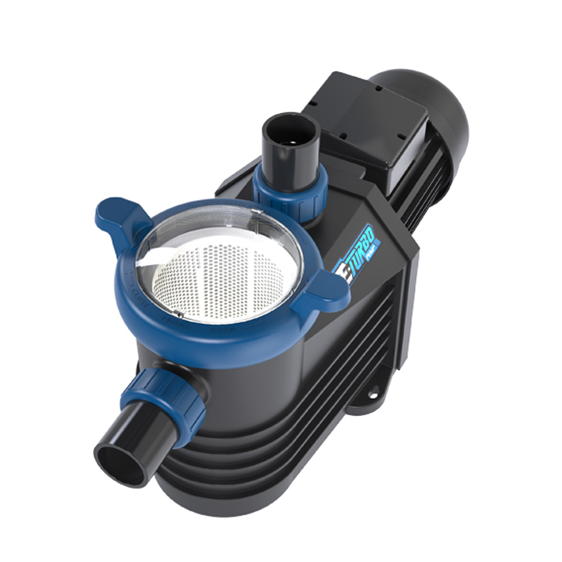 variable speed pool pumps